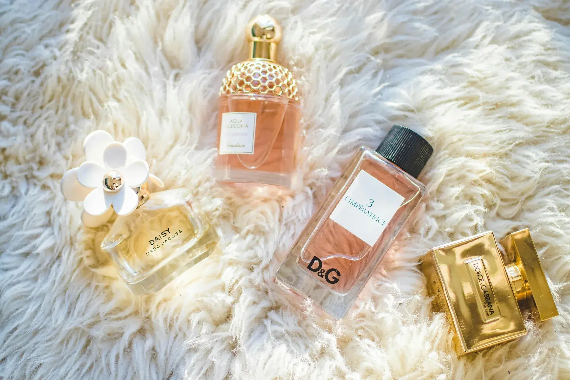 Unveiling Monica Bellucci's Favorite Perfume, Photo 3409