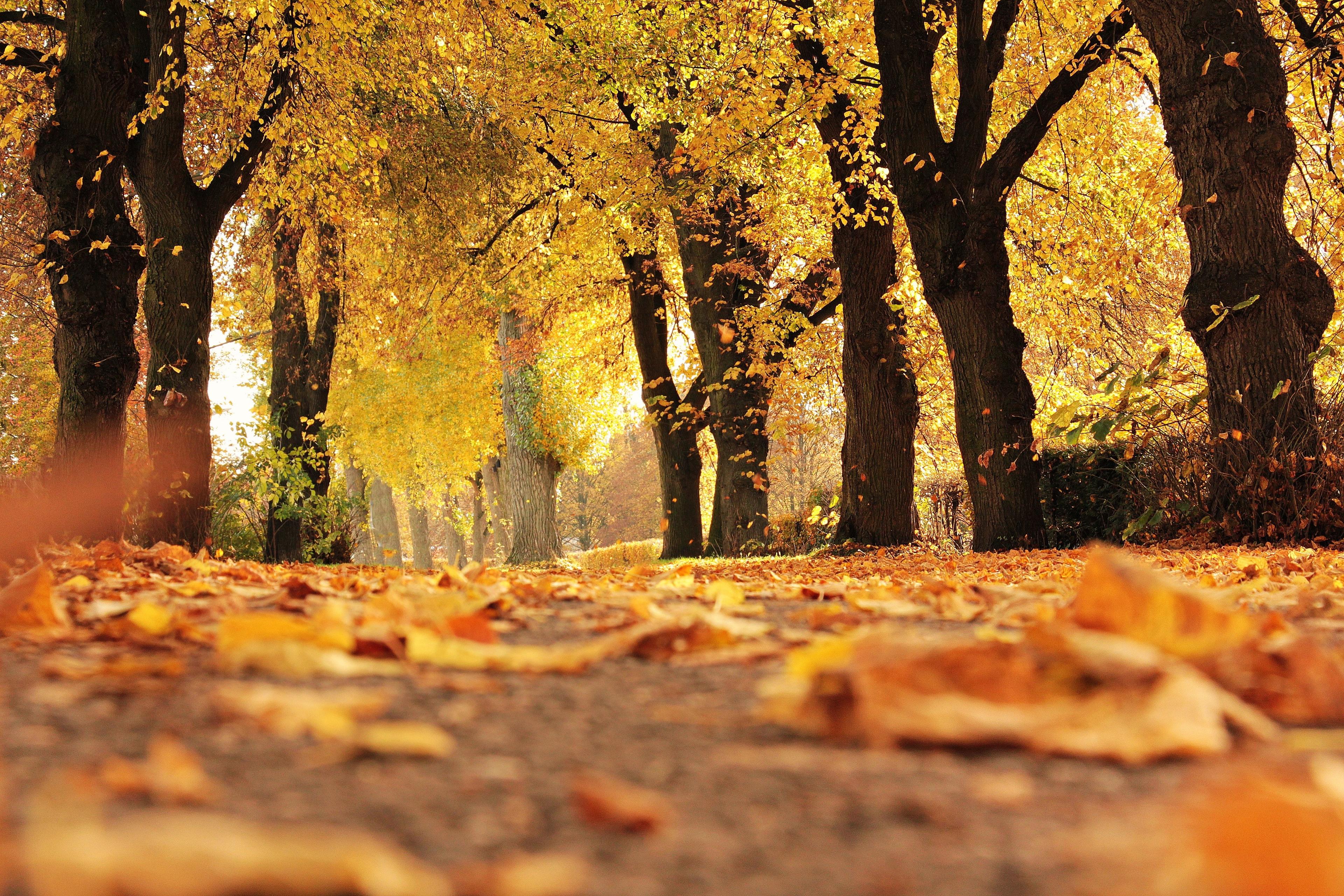 Як стильно зігріти себе восени? ТОП-5 образів зі светром, Фото 1195