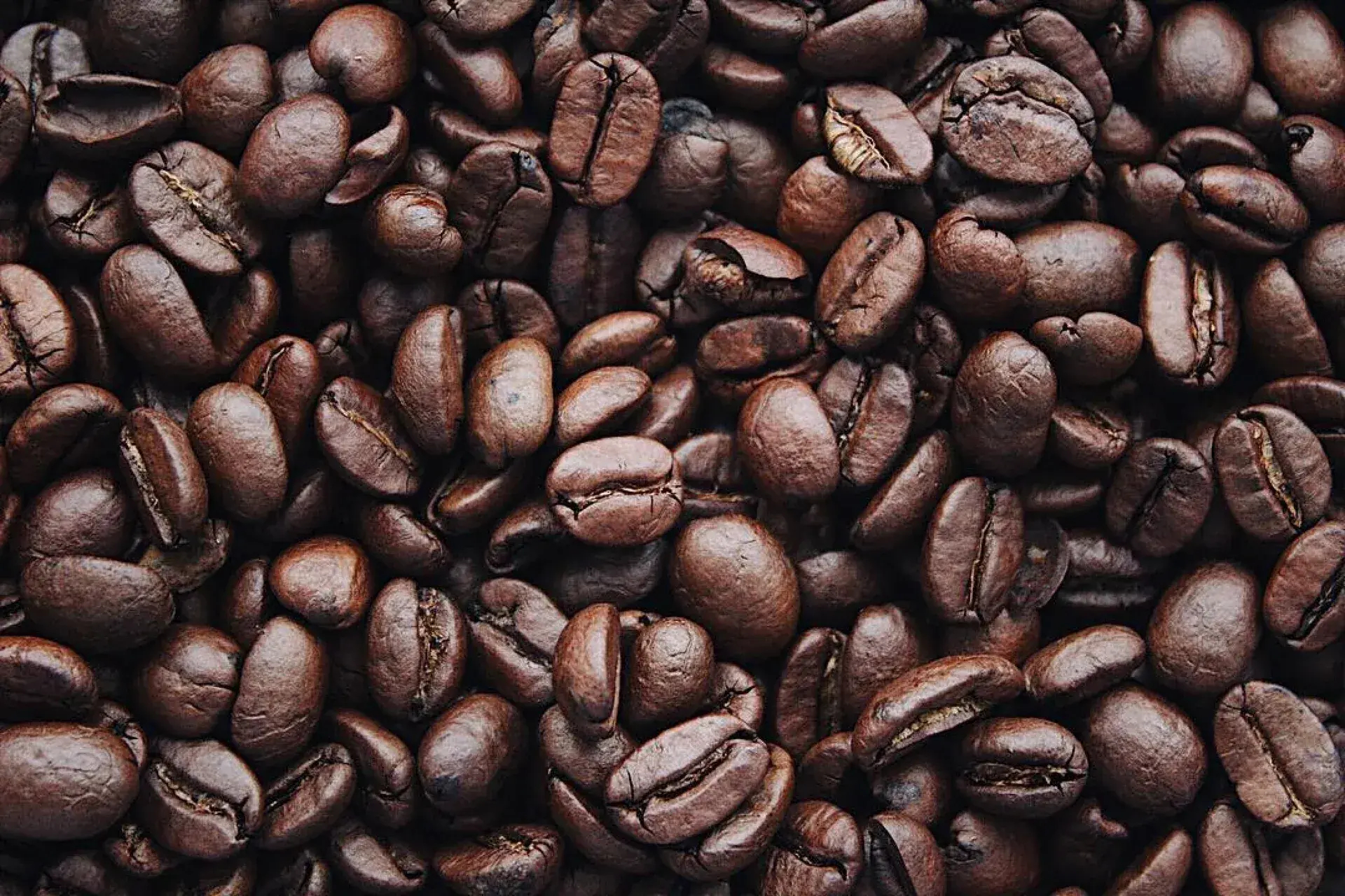 Чи корисно пити каву?, Фото 2995