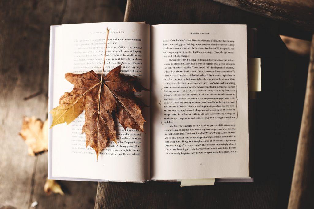 ТОП-5 книг, которые стоит прочитать осенью, Фото 1240